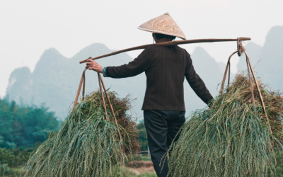 8 Things I Learned as a Volunteer on a Farm in Southern China