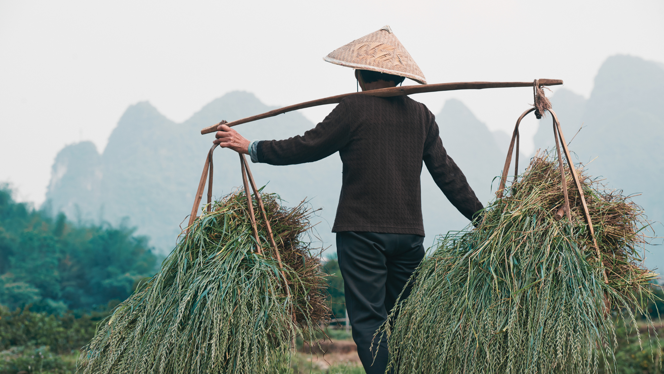 8 Things I Learned as a Volunteer on a Farm in Southern China