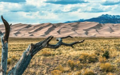 Stay and Play at the Great Sand Dunes National Park and Preserve