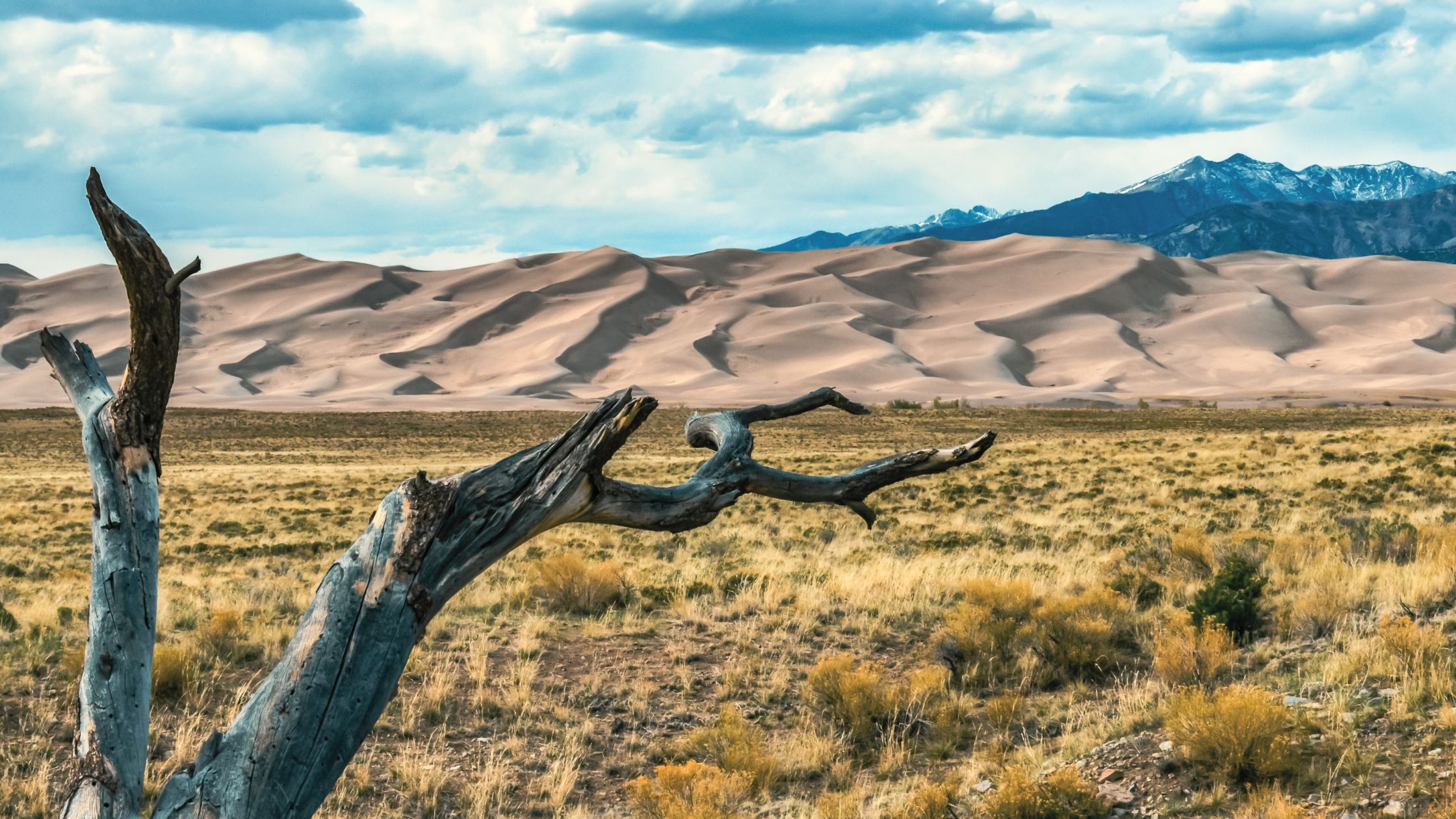 Stay and Play at the Great Sand Dunes National Park and Preserve