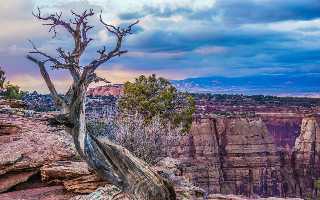 7 Things To Do in Grand Junction, Colorado