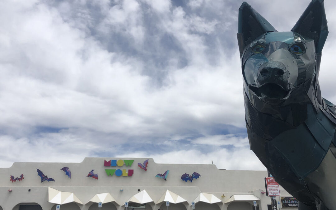 The House of Eternal Return at the Santa Fe Meow Wolf