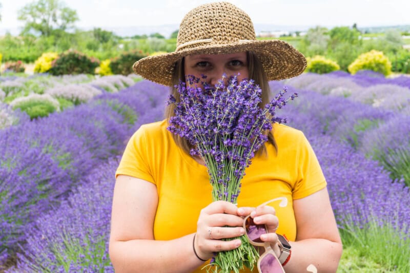 Travel Branyik with the Lavender at the Lavender Farm in Palisade